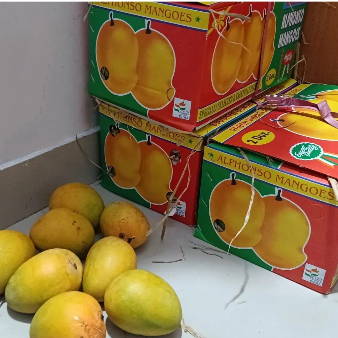 PRE-BOOK Devgad Alphonso Mangoes 🥭